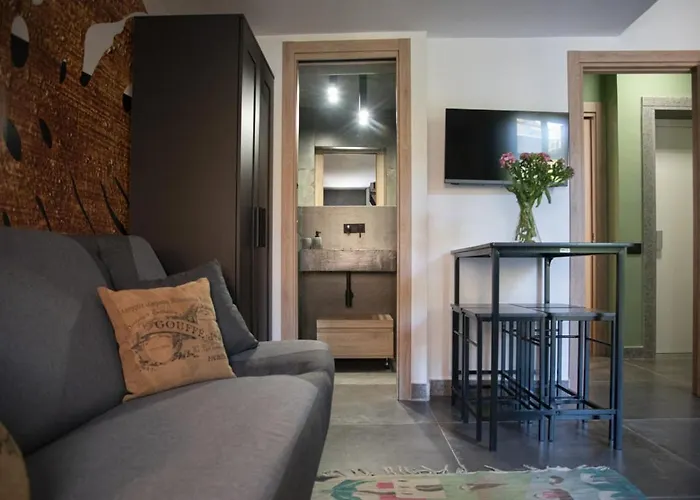 Vatican Boutique With Large Terrace Apartment Rom